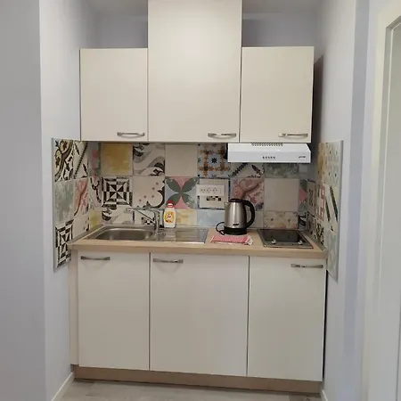 Apartment Vino & Grad *