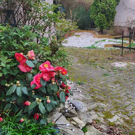 Vino & Grad Apartament Zagrzeb