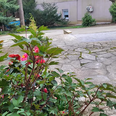 Vino & Grad Apartament