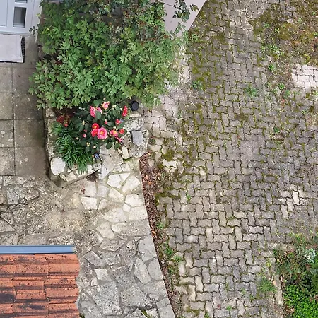 Apartament Vino & Grad