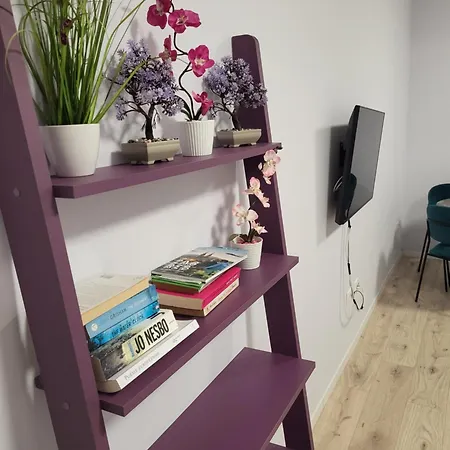 Vino & Grad Apartment *
