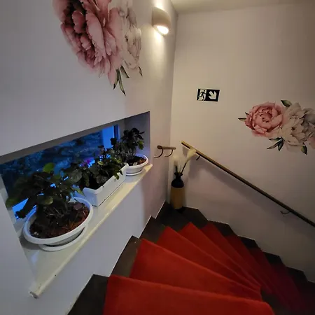 Vino & Grad Apartment *